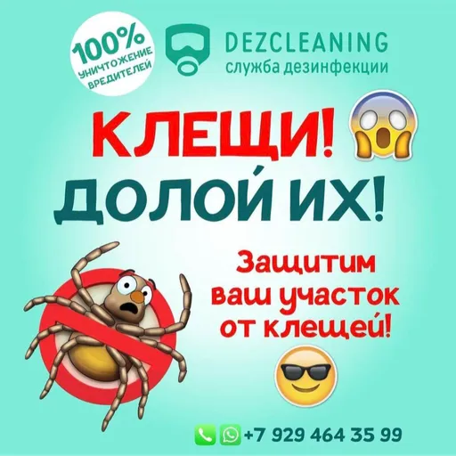 Скидки и бесплатная консультация - Dezcleaning | Услуги и сервис | Якутск